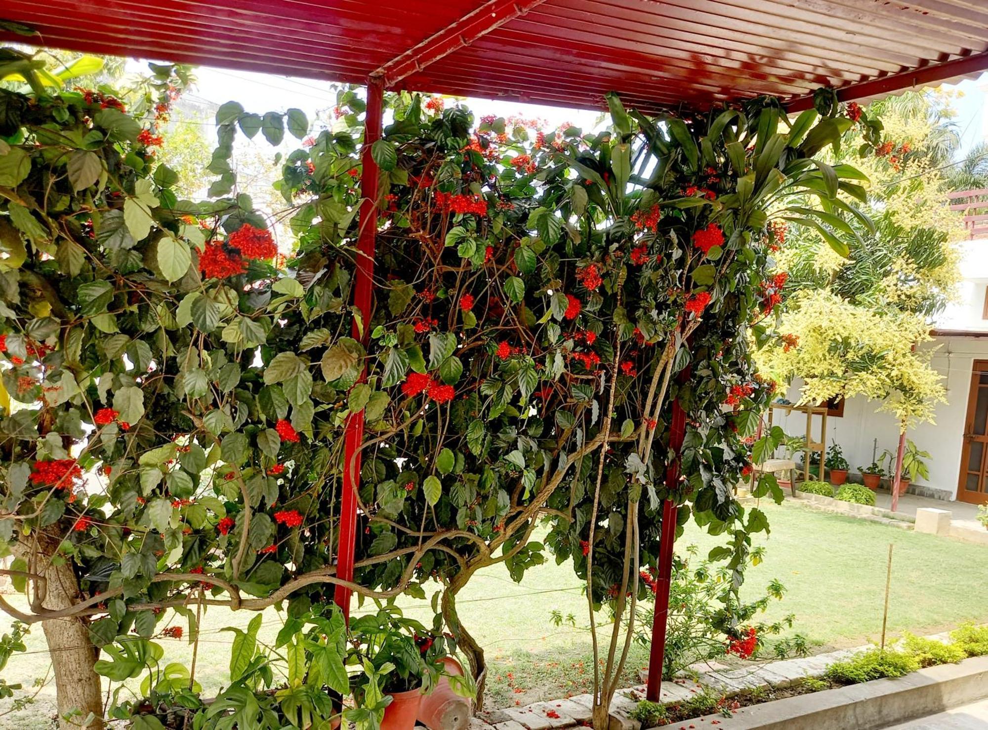 Garden View Residency Panzió Lakhnau Kültér fotó